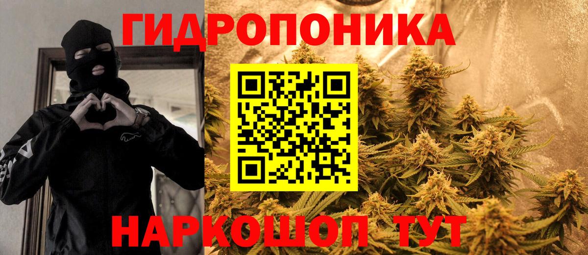 Марихуана семена Ноябрьск